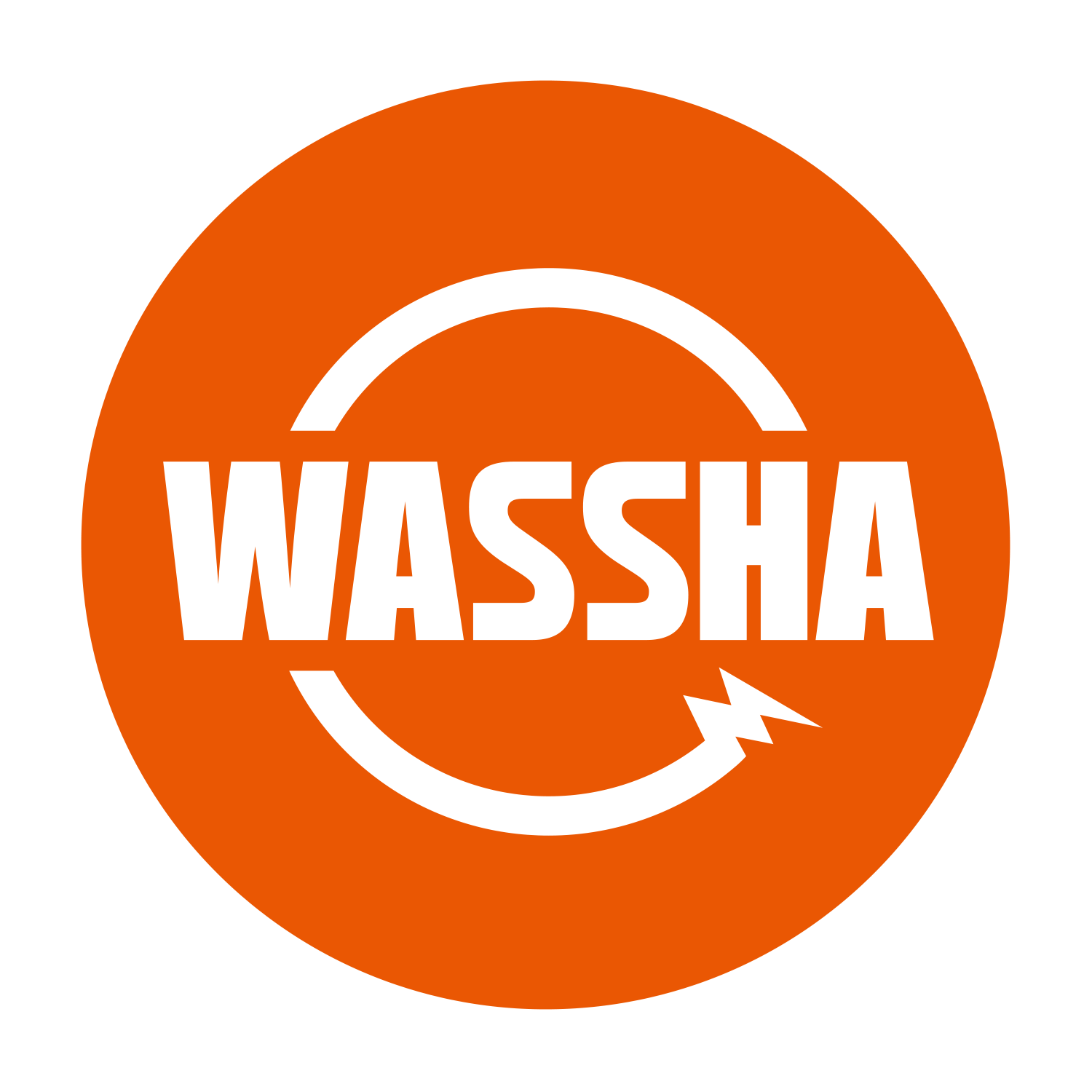 Image result for WASSHA Inc.